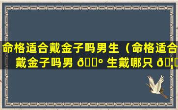 命格适合戴金子吗男生（命格适合戴金子吗男 🐺 生戴哪只 🦈 手）